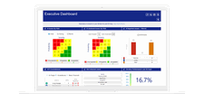 Screenshot Aviation Software Executive Dashboard